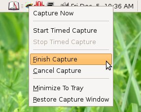 Контекстное меню Wink в системном трее с командой Finish Capture