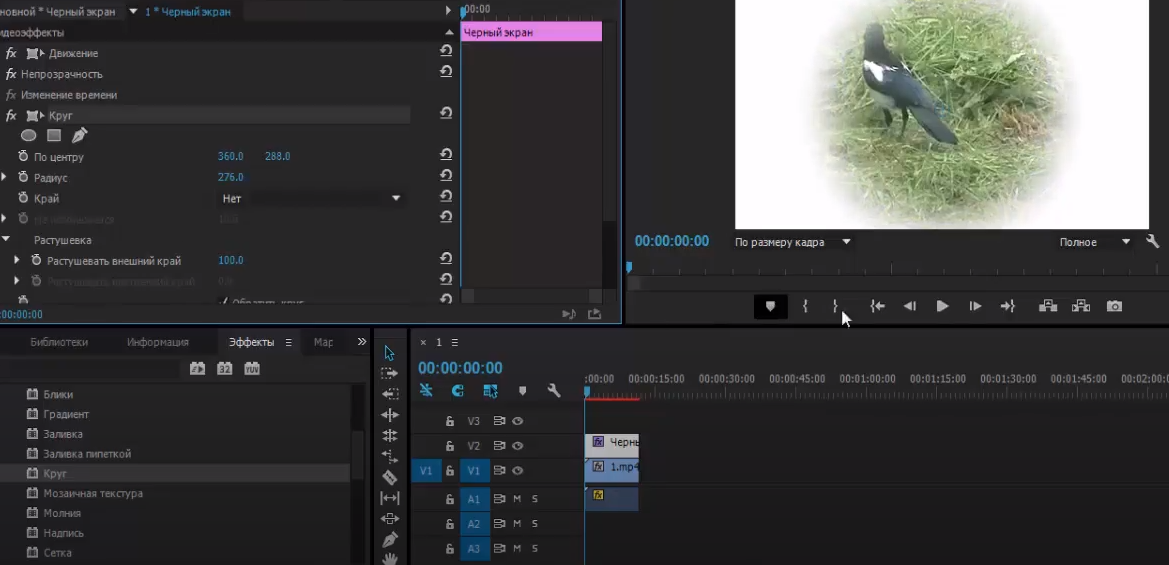 Затемнение и виньетка в Premiere Pro