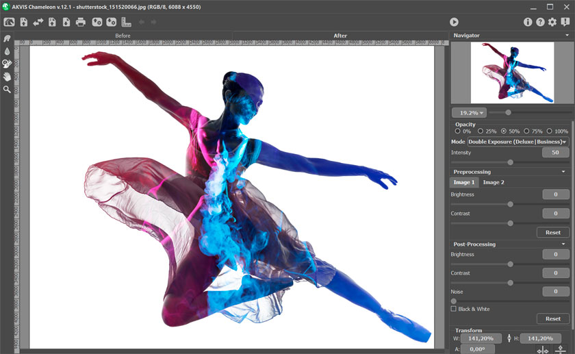 Рабочее окно AKVIS Chameleon