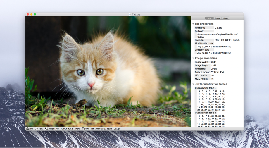 Панель Info в Xee: свойства файла, параметры изображения и JPEG quantization tables