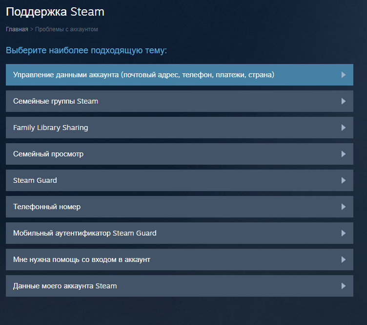 Раздел с темами по аккаунту Steam