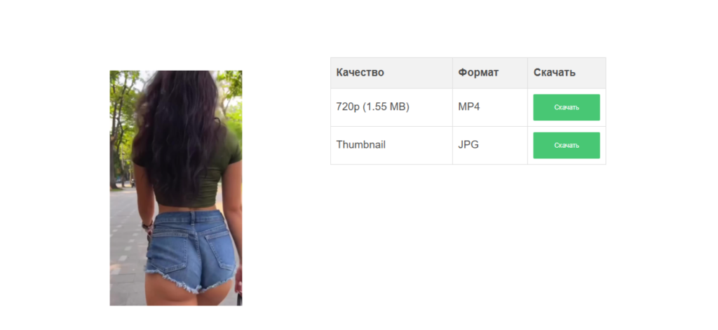 ExpertsPHP Pinterest Downloader — выбор MP4 после обработки ссылки