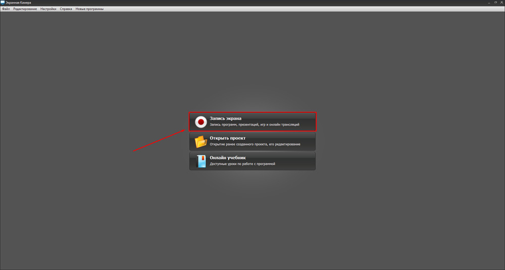 Экранная Камера — окно запуска записи